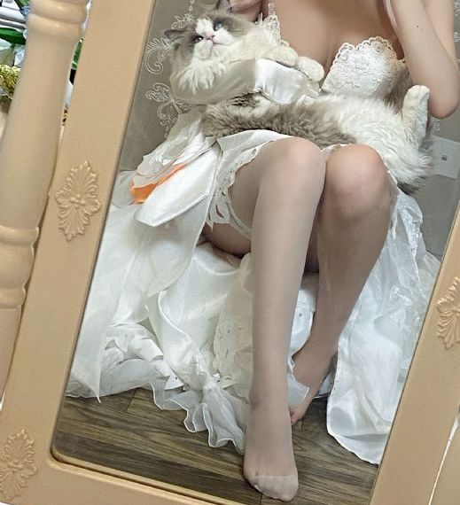 麻豆全集